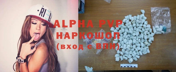 индика Володарск