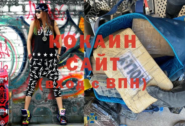 индика Володарск