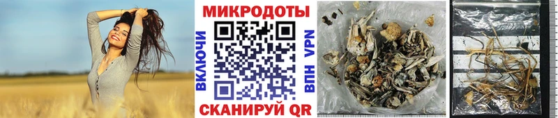 Галлюциногенные грибы Cubensis  Георгиевск 